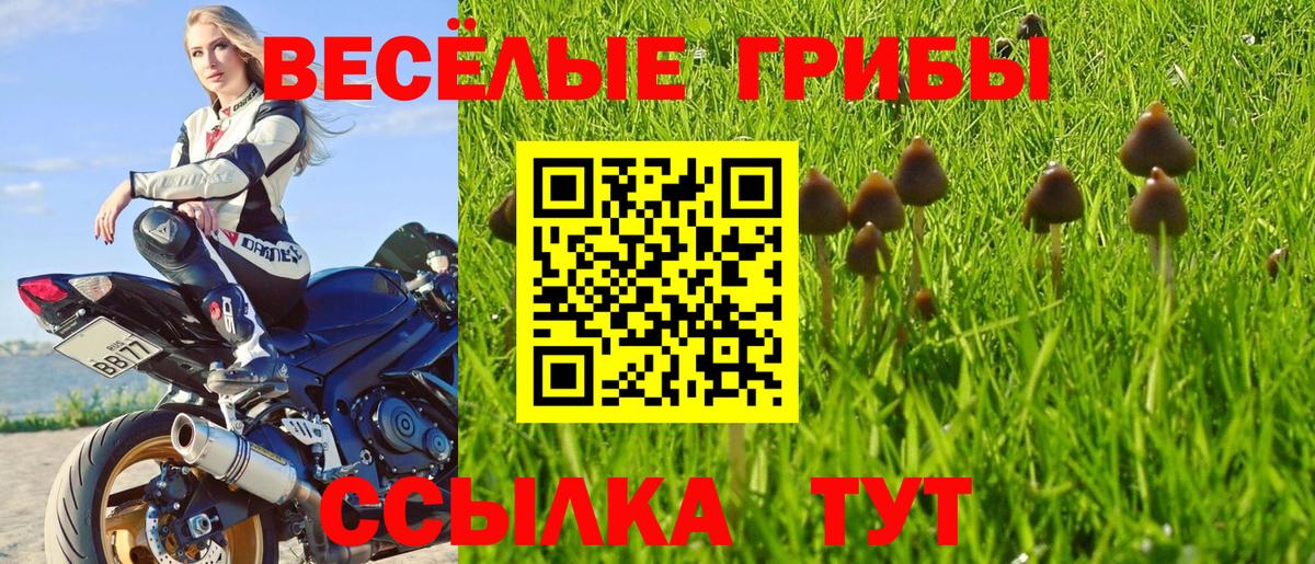 Псилоцибиновые грибы прущие грибы Южноуральск