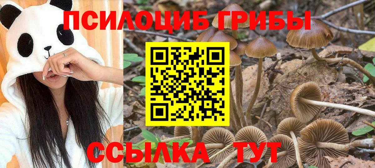 Южноуральск  Псилоцибиновые грибы прущие грибы  Галлюциногенные грибы ЛСД  Вход с VPN 